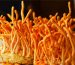 Tratamiento para la depresión con hongo cordyceps